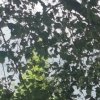 24-07-03 Stammtisch 5
